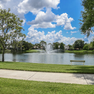 Scenic Lakeside Walking Trail