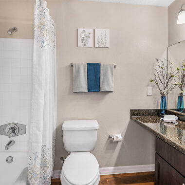 Guest Bath with Soaking Tub and Shower