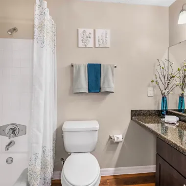 En suite bathroom off primary bedroom at Willowbrooke Apartments in Lakeland